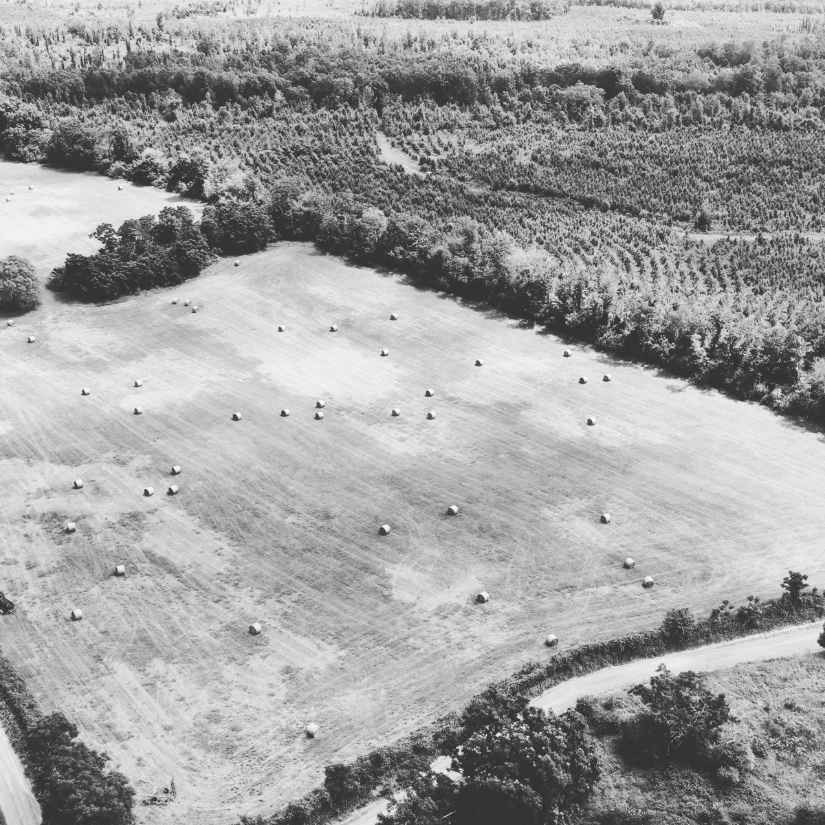 Aerial black and white view of hay field with round bales