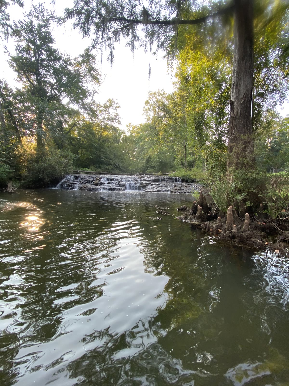 Peaceful creek with small waterfall on South Georgia property