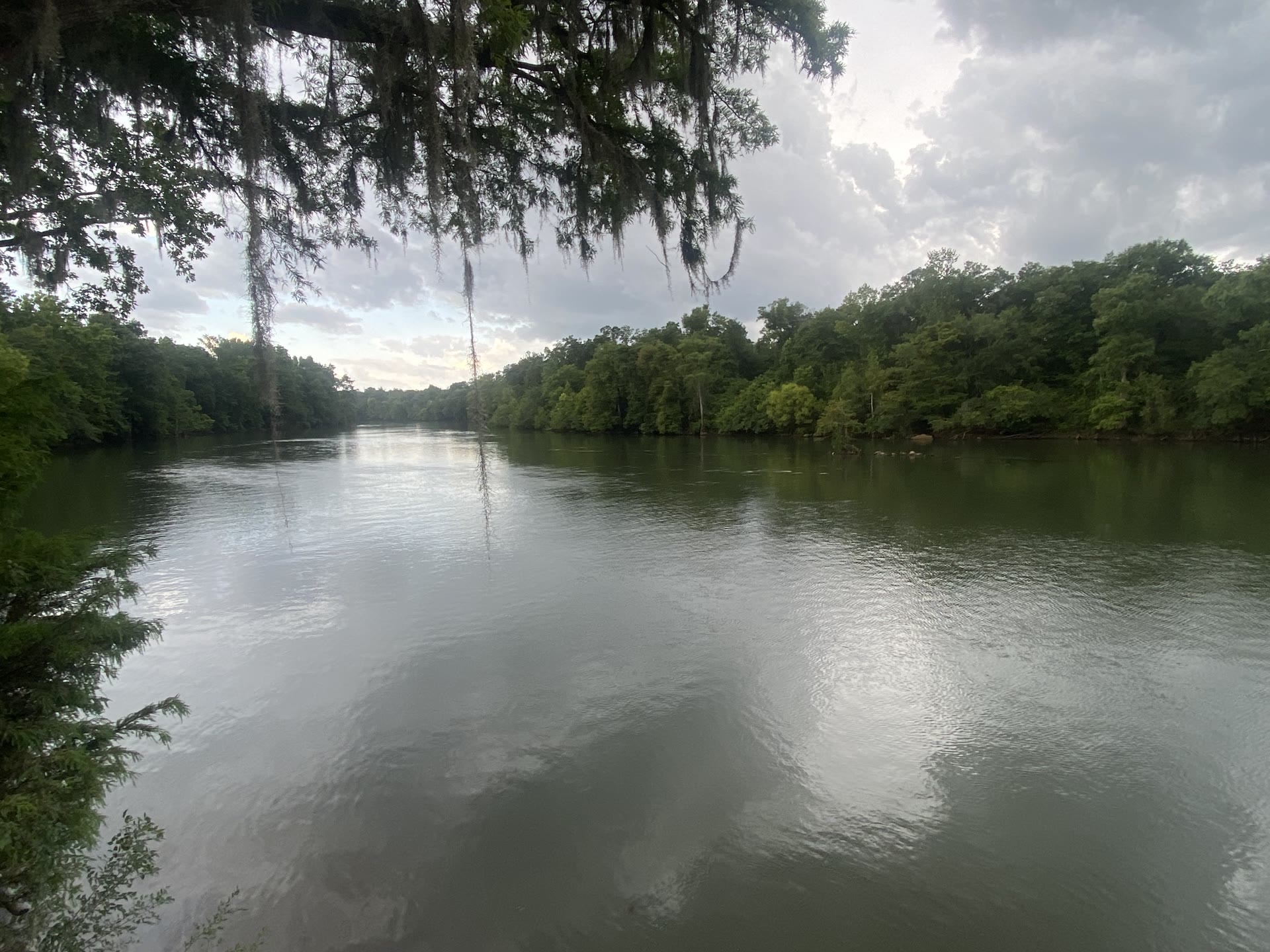 South Georgia river with Spanish moss and lush treeline